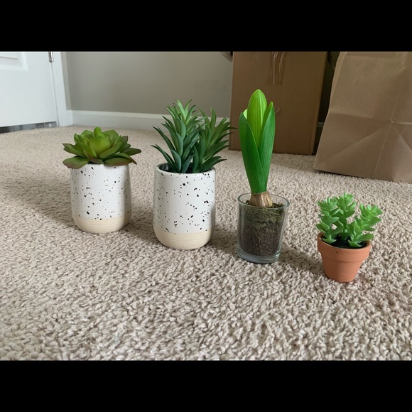 Modern Farmhouse Spring Decor Lot - Picture 7 of 9